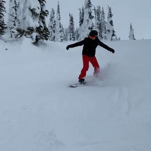 Meet your Posher, Oliver